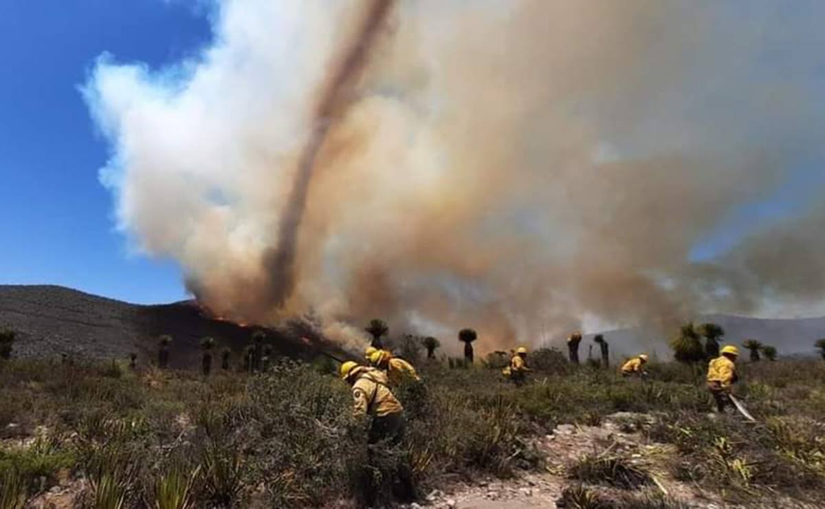 Reportan nuevo incendio forestal en Matehuala; hay 170 hectáreas afectadas