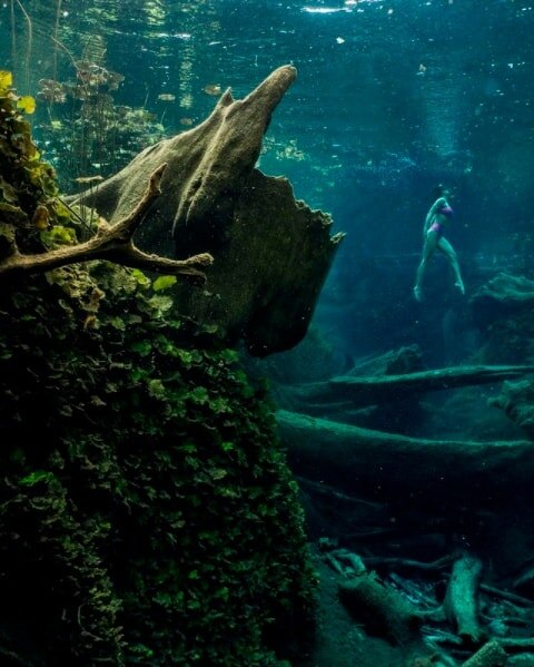 Los Peroles es el sitio ideal para bucear. Foto: San Luis Potosí Turismo