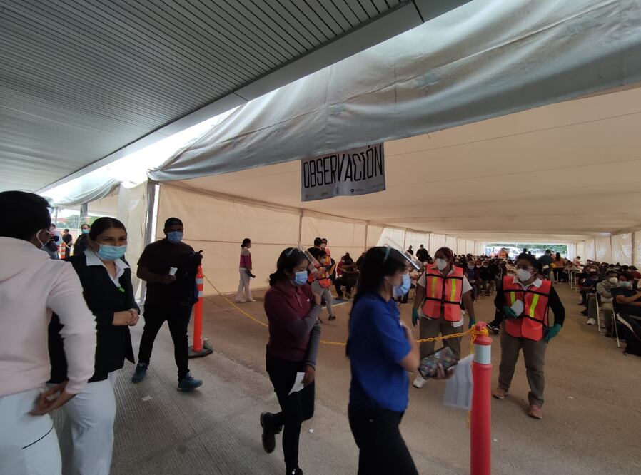 Descarta UUZI exigir certificado de vacunación a trabajadores. Foto: Archivo EL UNIVERSAL
