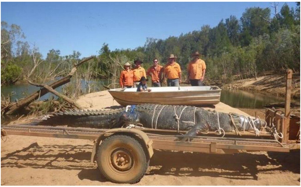 Foto: Northern Territory Parks and Wildlife