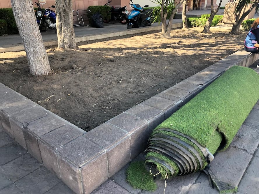 Foto: El Universal San Luis Potosí