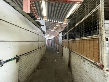 Locatarios del Mercado San Luis 400 bajan la cortina; lo que antes era el epicentro del comercio ahora está en el olvido