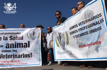 Médicos veterinarios protestan contra Ley Varela