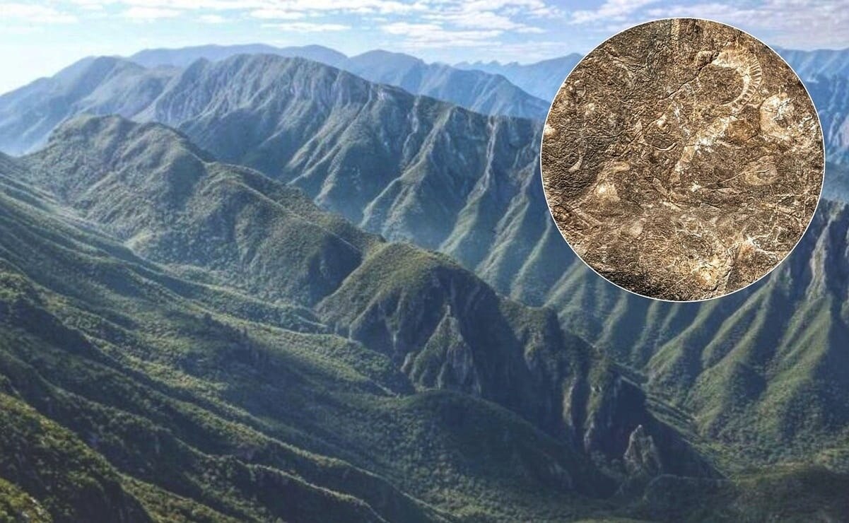 ¿El mar de San Luis Potosí? Esta es la razón por la que hay conchitas en los bosques de Xilitla