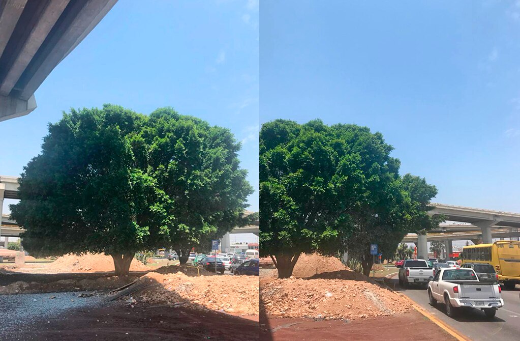 Foto: Archivo El Universal San Luis Potosí