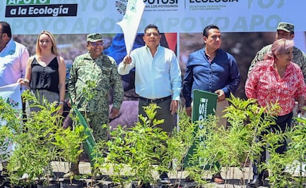 ¡Arranca la reforestación de SLP! Gallardo entrega los primeros 300 mil árboles, de un millón