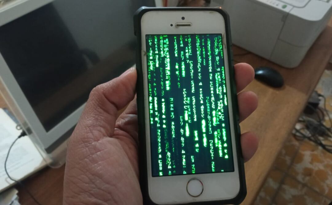 Recientemente se están recibiendo por parte de la policía cibernética entre 20 y 25 denuncias de casos de este tipo. Foto: Samuel Estrada