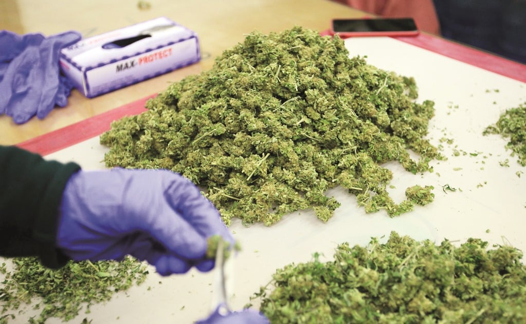 Avalan venta de 38 productos con cannabis