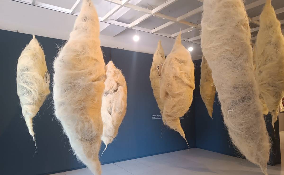 Exposiciones de mujeres inundan el MAC en el marco del 25N