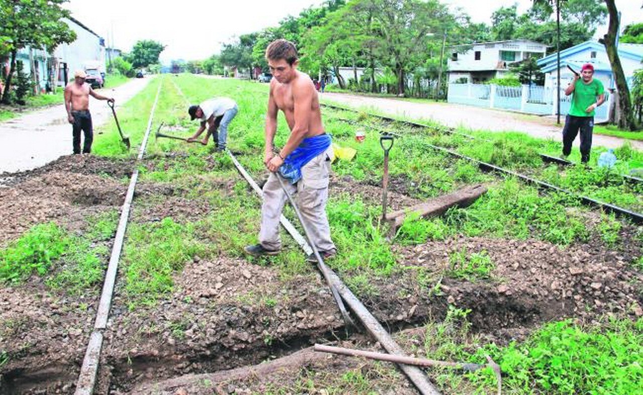 Alistan primeras licitaciones para Tren Maya por 3 mmdd