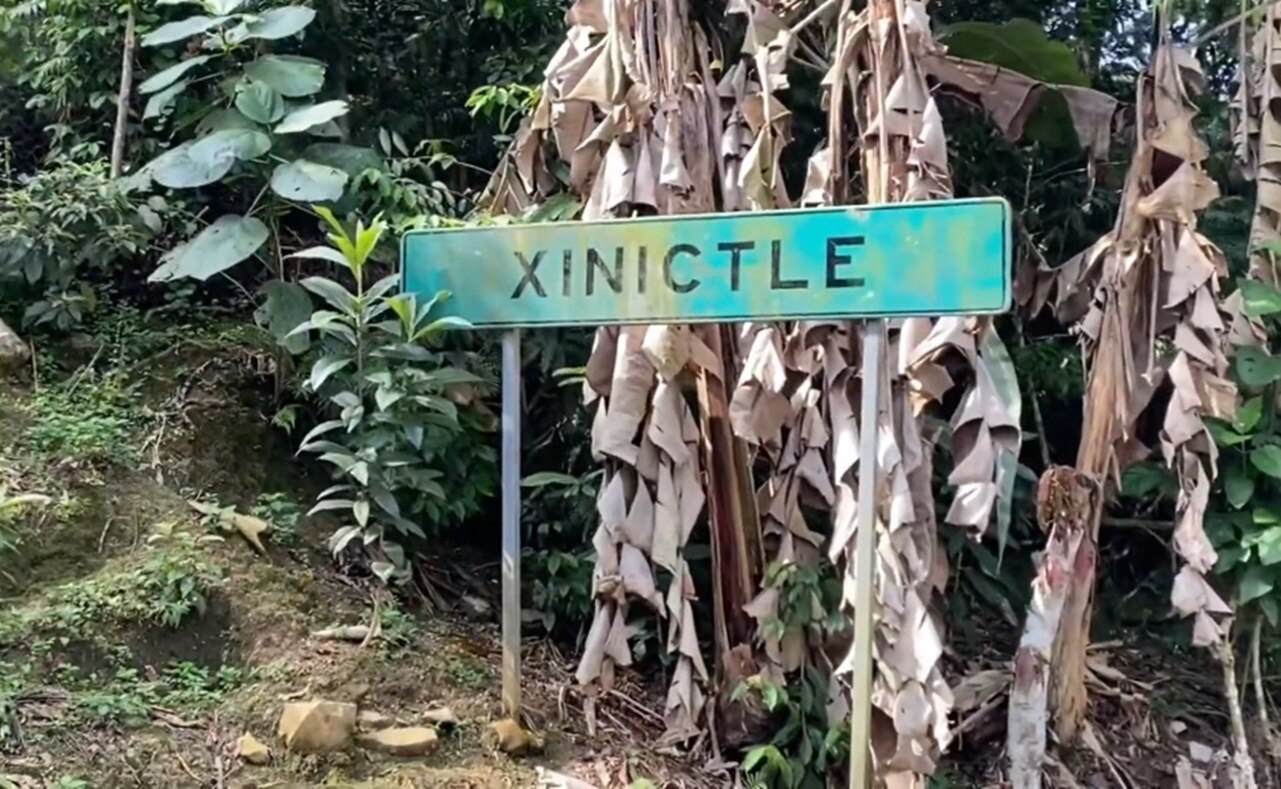 La misteriosa pirámide de Xinictle, un tesoro pendiente por explorar. Foto: Especial.