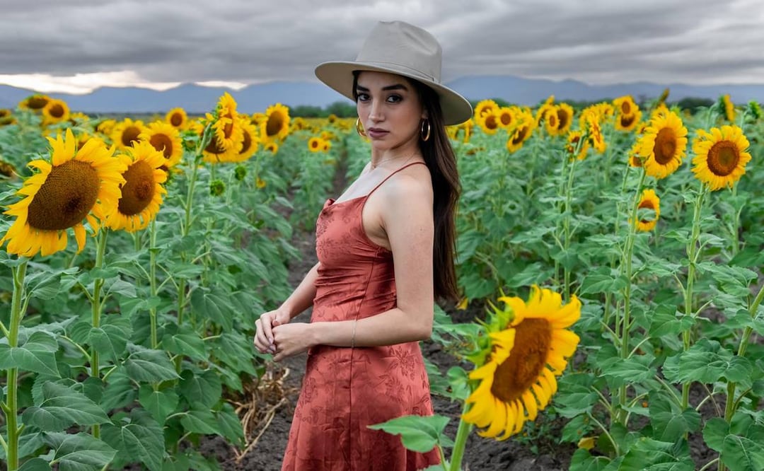 Concursantes de Miss Earth San Luis Potosí aprovecharon los campos de girasoles para una sesión de fotos. Foto: Tomada de H. Ayuntamiento de Cerritos