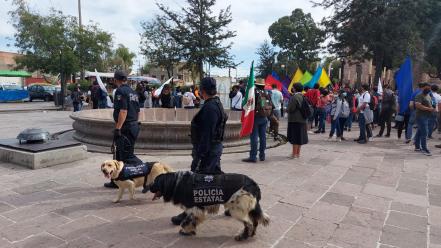 Bonie, Candie y Camila, un ejemplo de amor y profesionalismo de la unidad canina de SLP