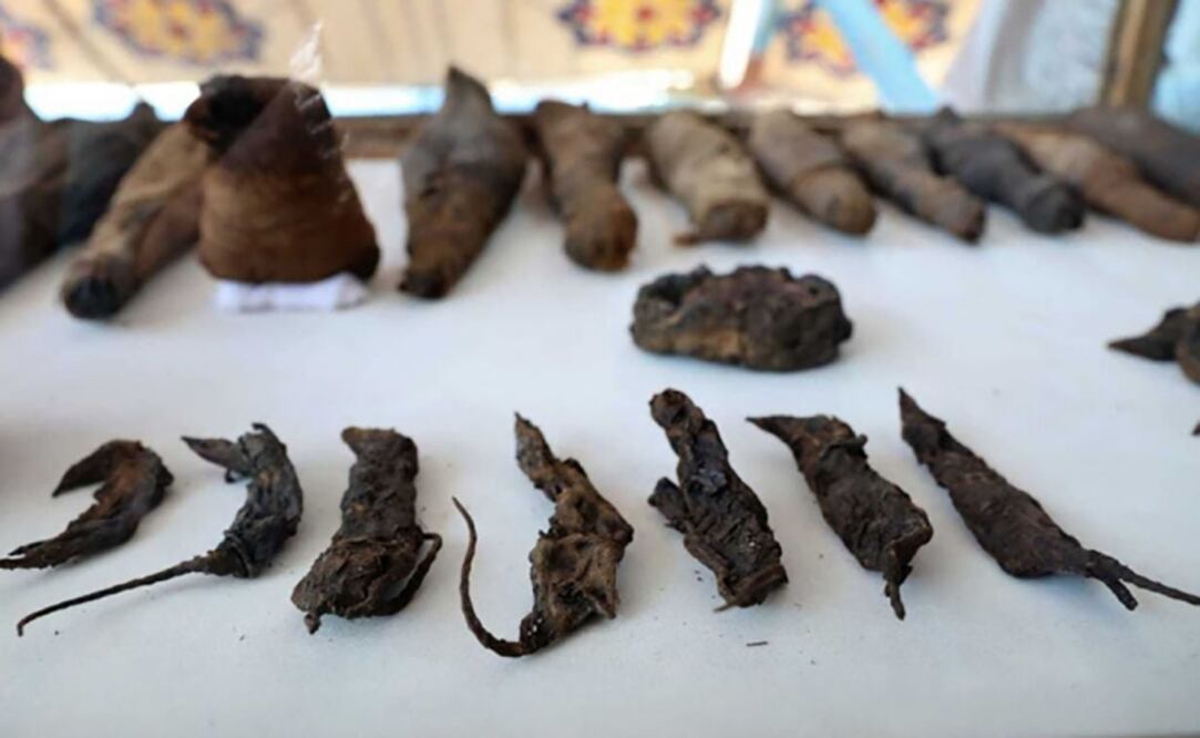 Foto: MINISTERIO DE ANTIGÜEDADES DE EGIPTO