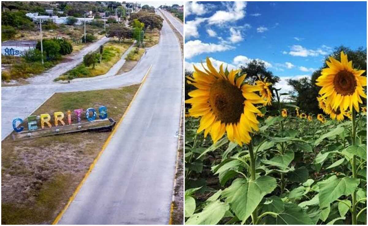 El municipio de Cerritos le apuesta a una nueva imagen urbana, a fin de posicionarse como destino turístico. Fotos: Especiales