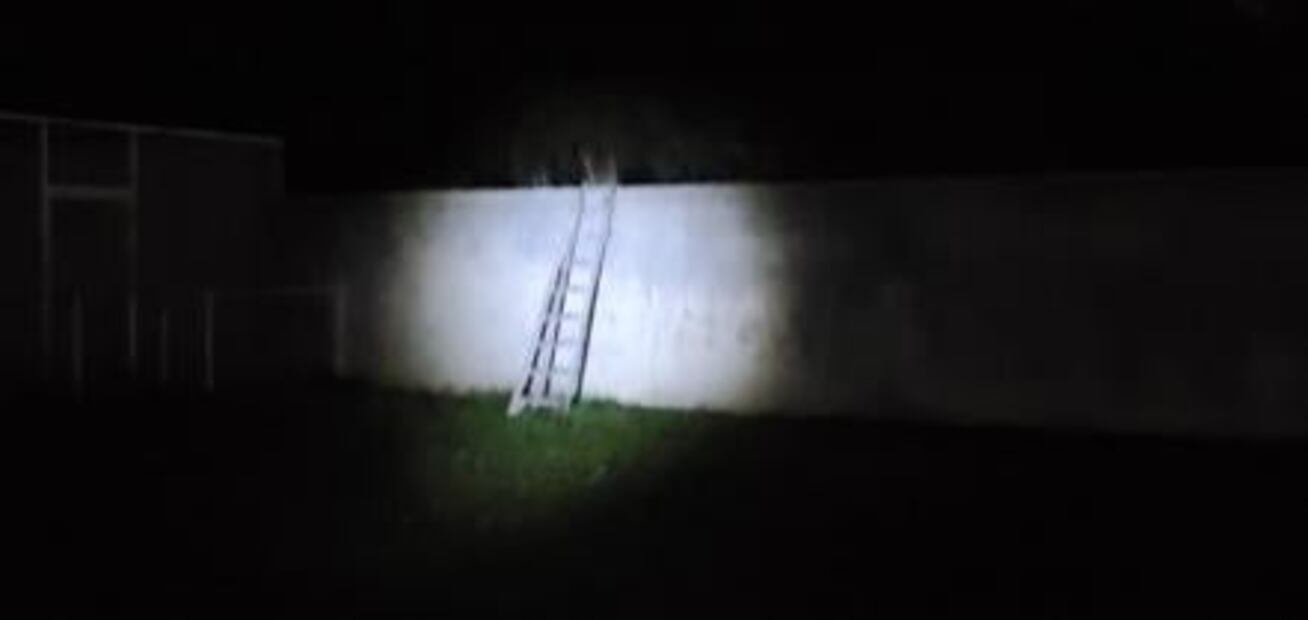 FOTOS. Así era la finca de Rioverde donde fue hallada una tigresa 