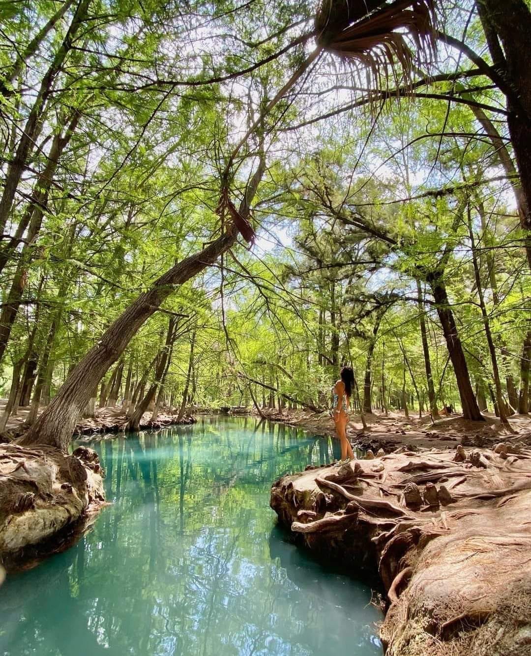 Lagunas en slp. Foto: FB, Sótano de las Golondrinas