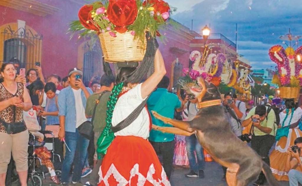 Rufino Guillermo Méndez asegura que se está coartando el derecho del perrito a “salir y bailar en el Zócalo y la Alameda”. Foto: EDWIN HERNÁNDEZ. EL UNIVERSAL