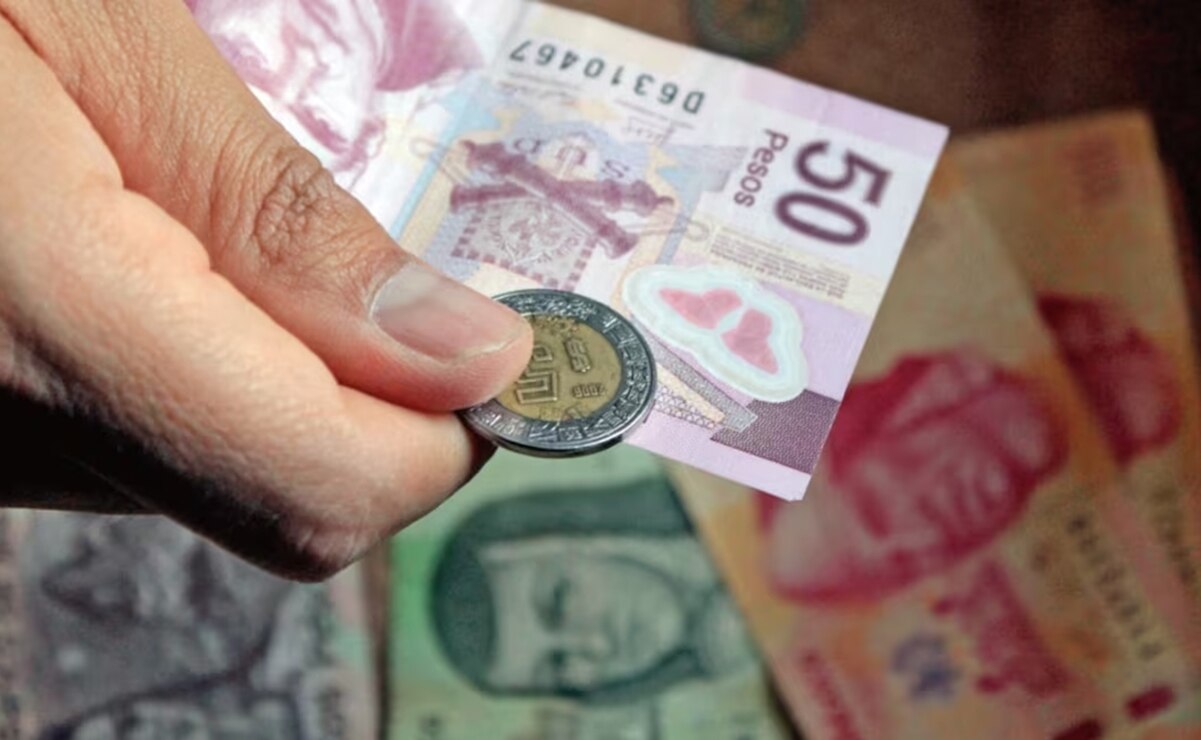 Salario mínimo 2025 en México: De cuánto será el histórico aumento que prometió Sheinbaum