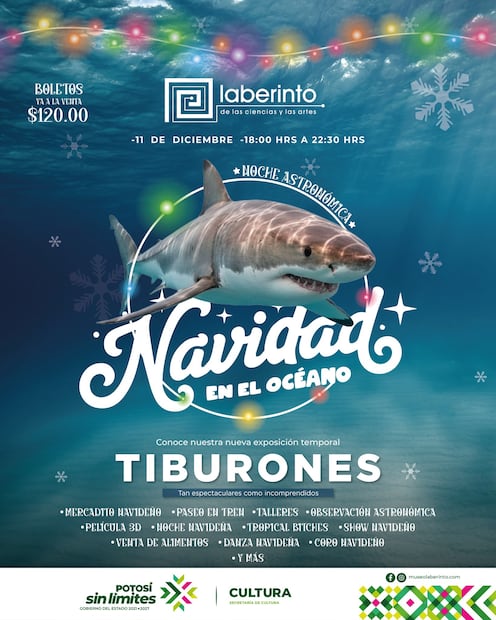 Noche Astronómica en SLP. Foto: Facebook, Museo Laberinto de las Ciencias y las Artes