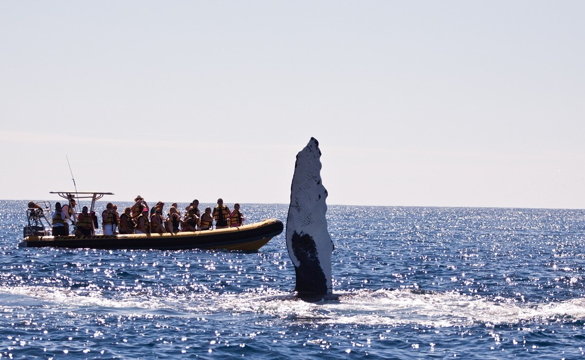 Agencias de viaje en SLP, con alza de hasta 80% en compra de paquetes vacacionales