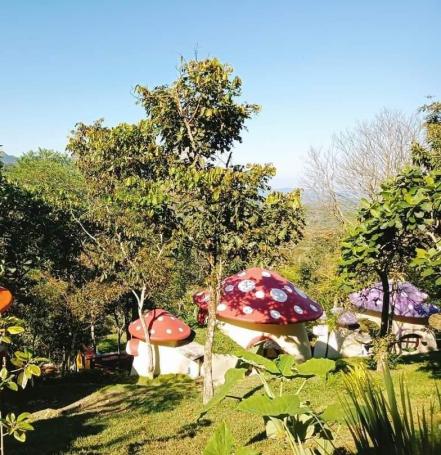 Con hospedaje temático, Xilitla se convierte en uno de los destinos favoritos de SLP  