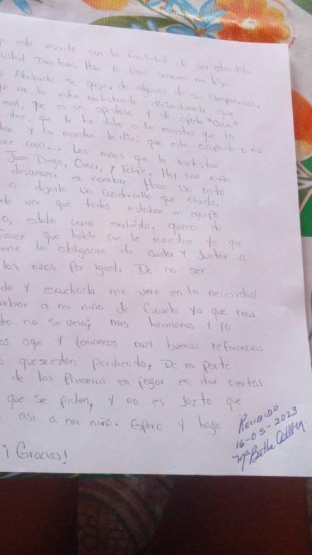 Insultos y agresiones físicas: madre denuncia bullying contra su hijo en primaria del Altiplano