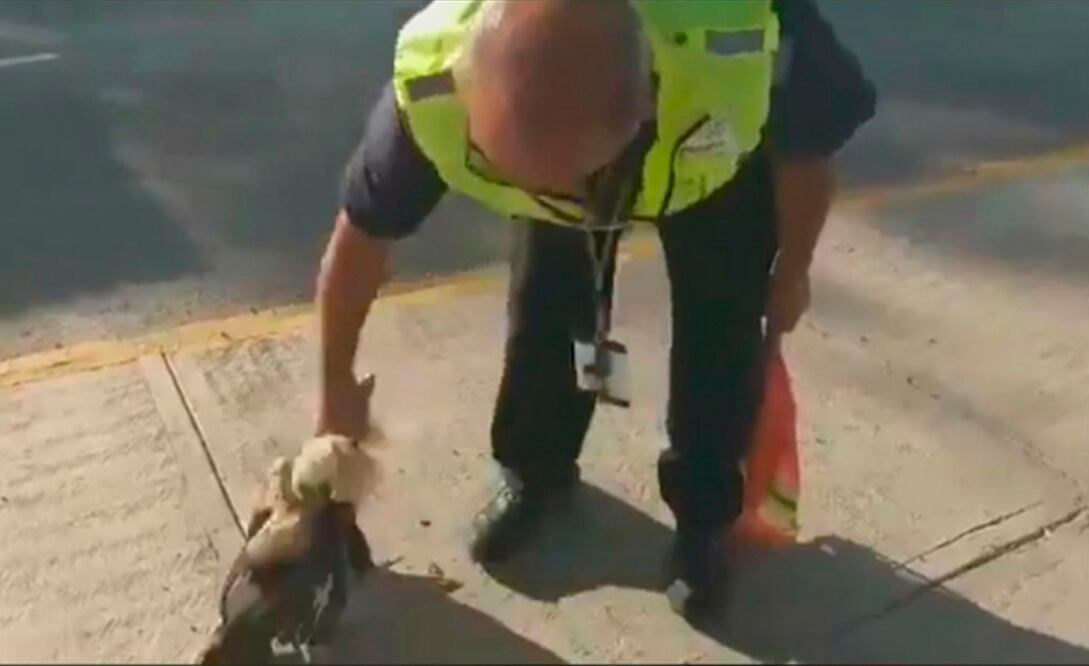 Foto: Captura de video