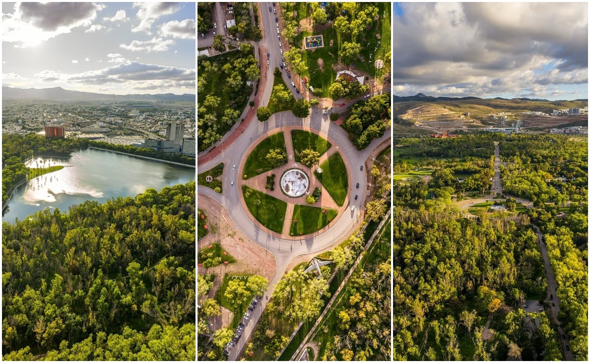 Foto: Facebook San Luis Potosí Capital.