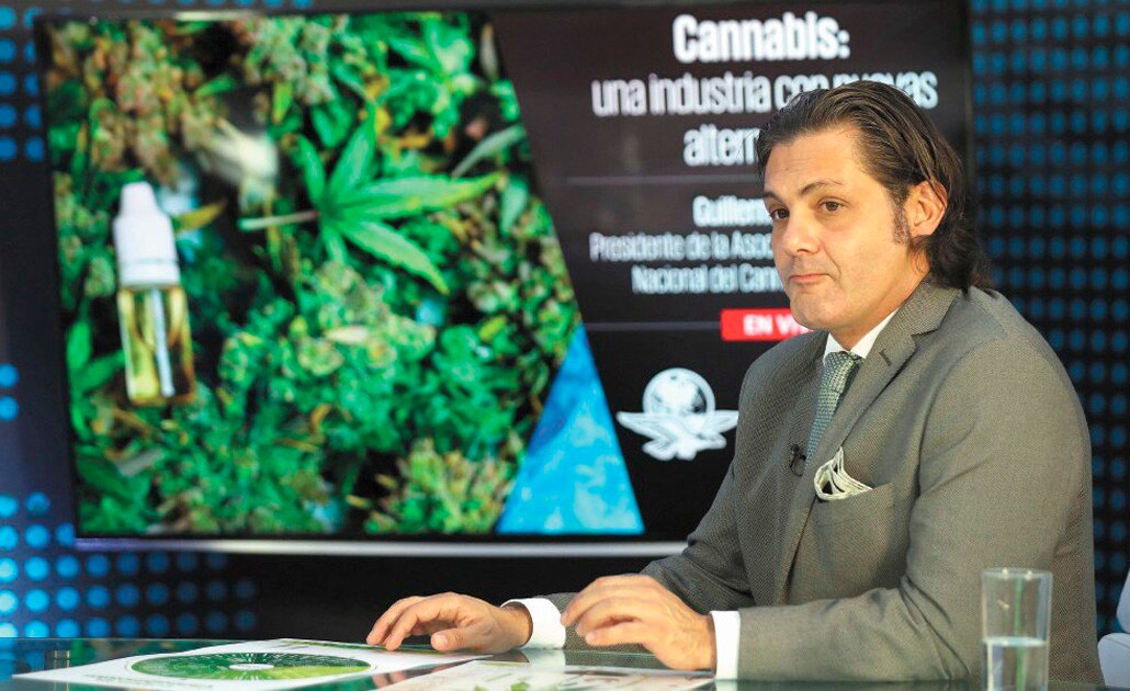 “Cáñamo, primo de la marihuana, crearía una economía verde”