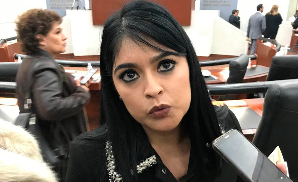 “Si viene bien, si no él sabe”, dice coordinadora del PT a “El Mijis”