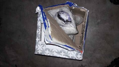 Aseguran droga en el aeropuerto Ponciano Arriaga