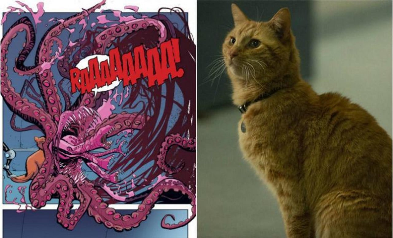 Goose, el “gato” de Capitana Marvel que podría salvar a los Avengers
