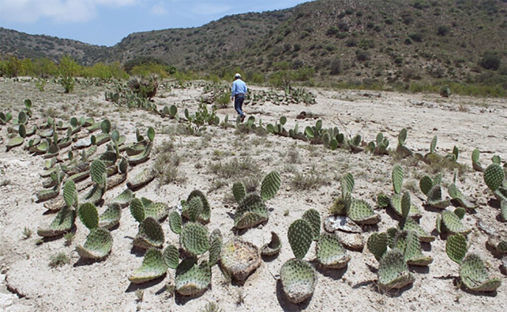 Foto: Archivo El Universal San Luis Potosí.