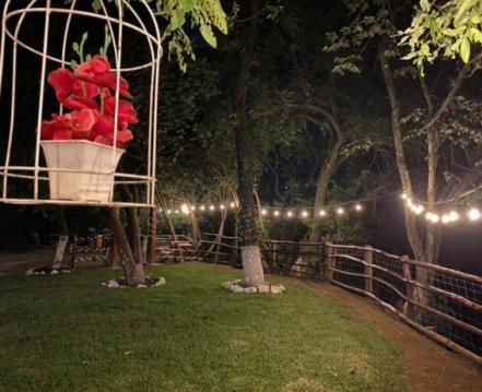 Viaja a la cascada El Aguacate, un paraíso escondido de la Huasteca Potosina