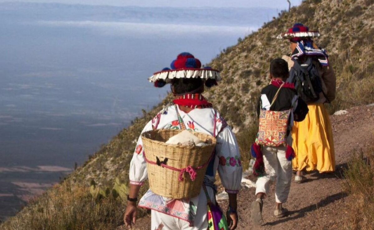 Ruta Wixárica a Wirikuta, nuevo Patrimonio Mundial de la Humanidad. Foto: Secretaría de Cultura