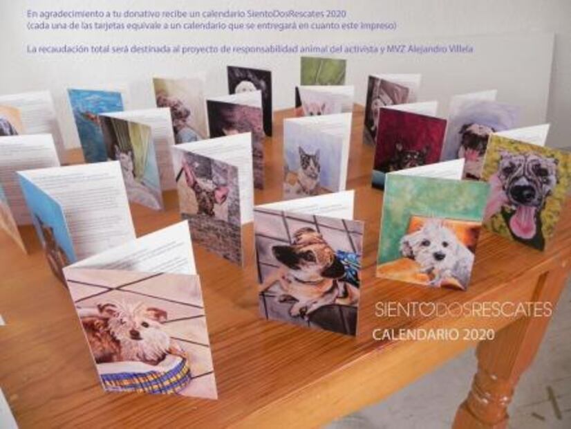 Siento Dos Rescates busca erradicar el abandono de perros y gatos
