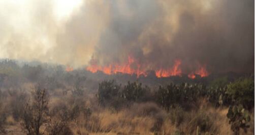 Por robar fierro, provocaron incendio