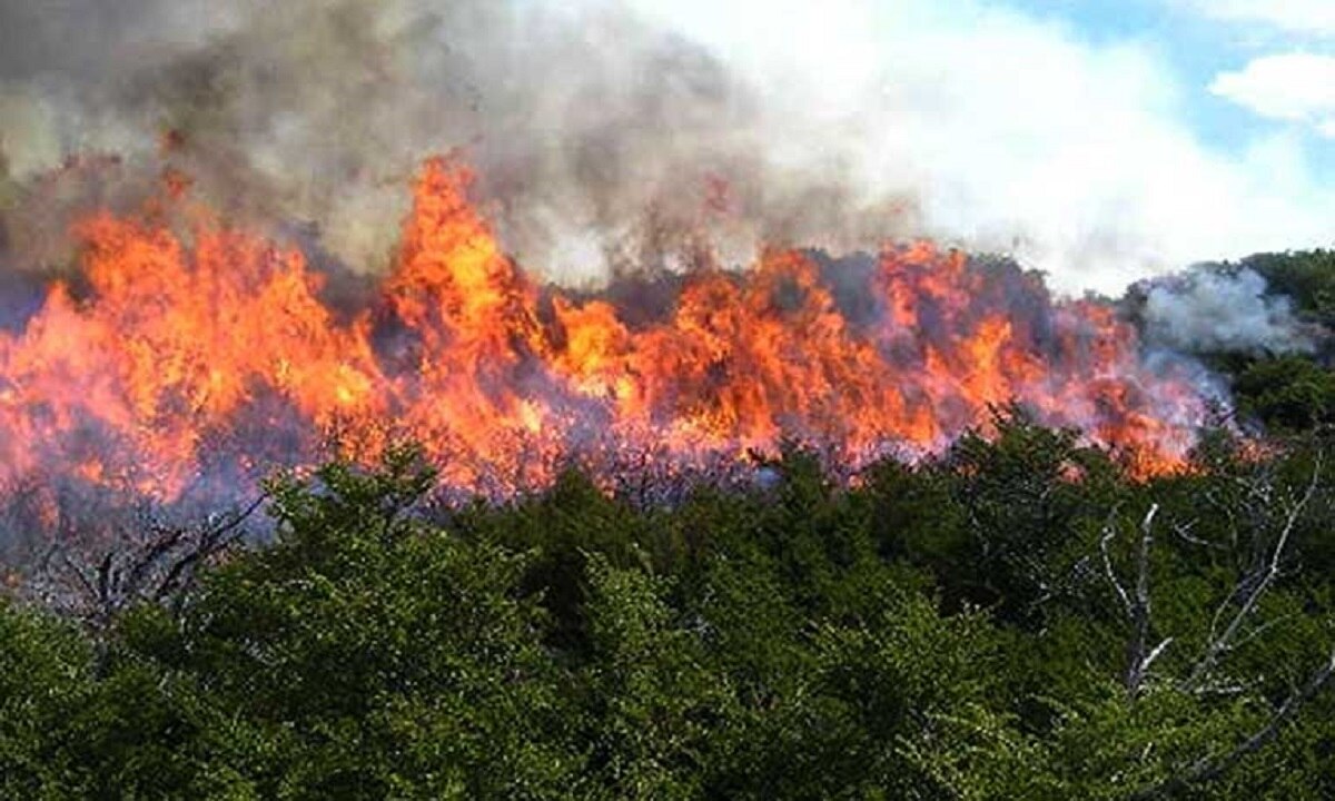 Dependencias se preparan ante repunte de incendios