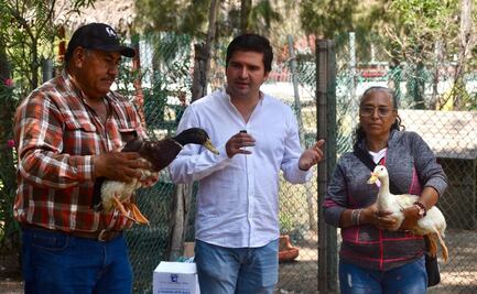 Donald y Daisy, nuevos habitantes de Villa Cuac en el Parque de Morales de SLP