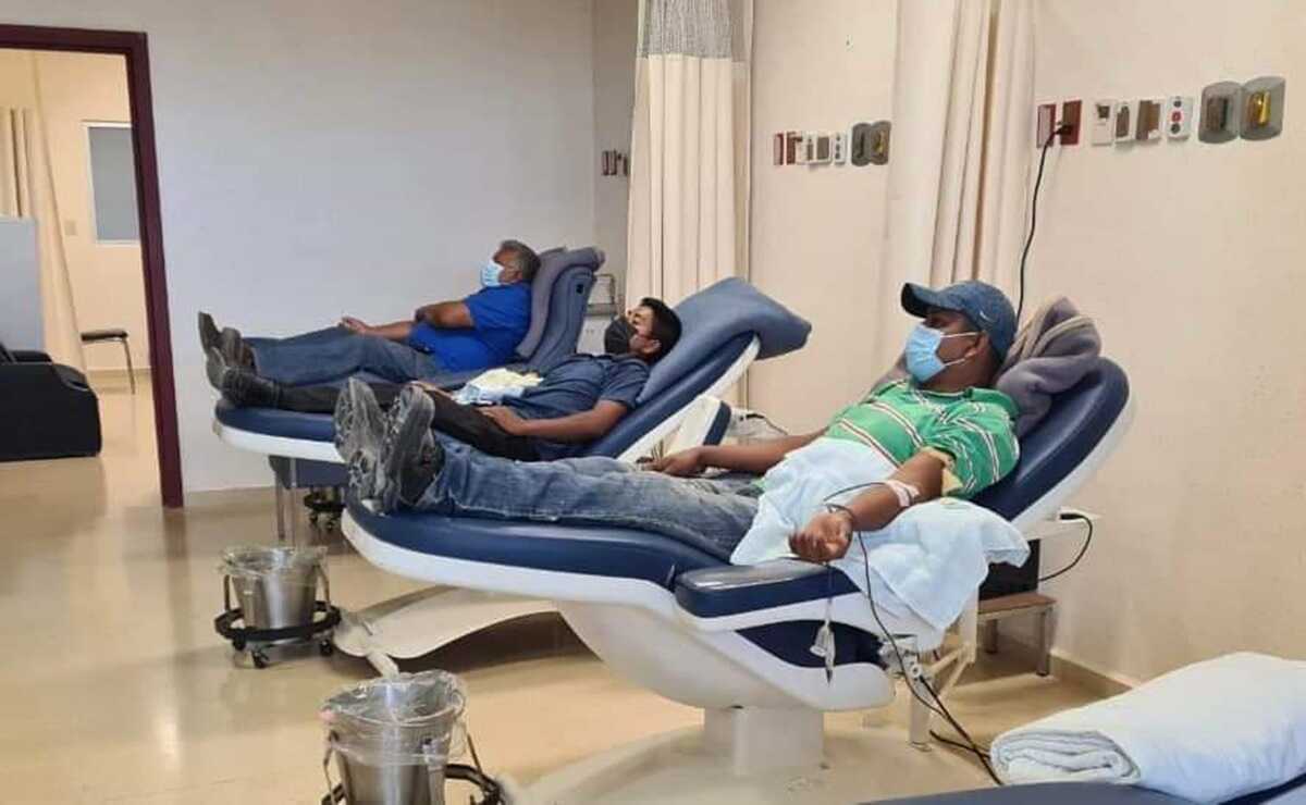 La donación de sangre puede salvar vidas; estos son los requisitos para ser candidato