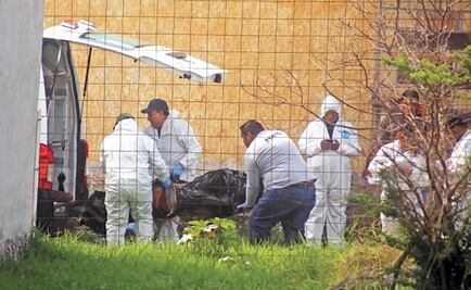 México 2019: un año con récords en delitos