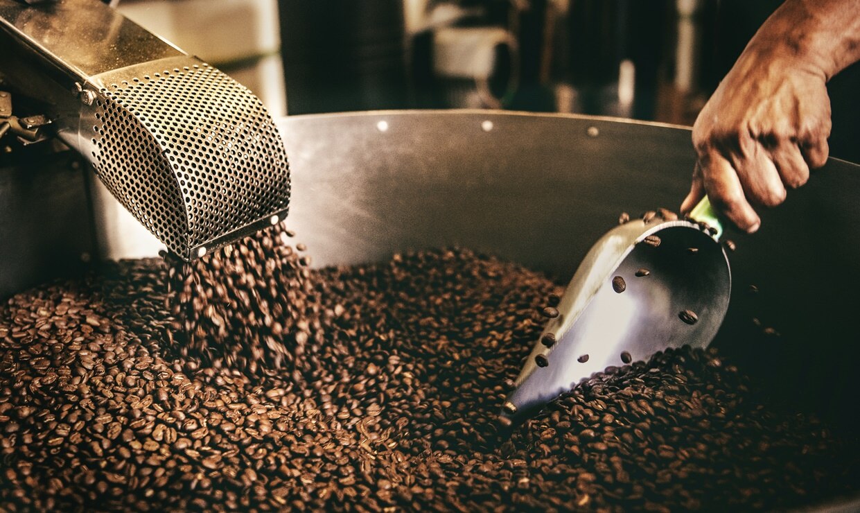 Café bajo sombra: el secreto detrás del sabor único del café potosino. Foto: Unsplash.