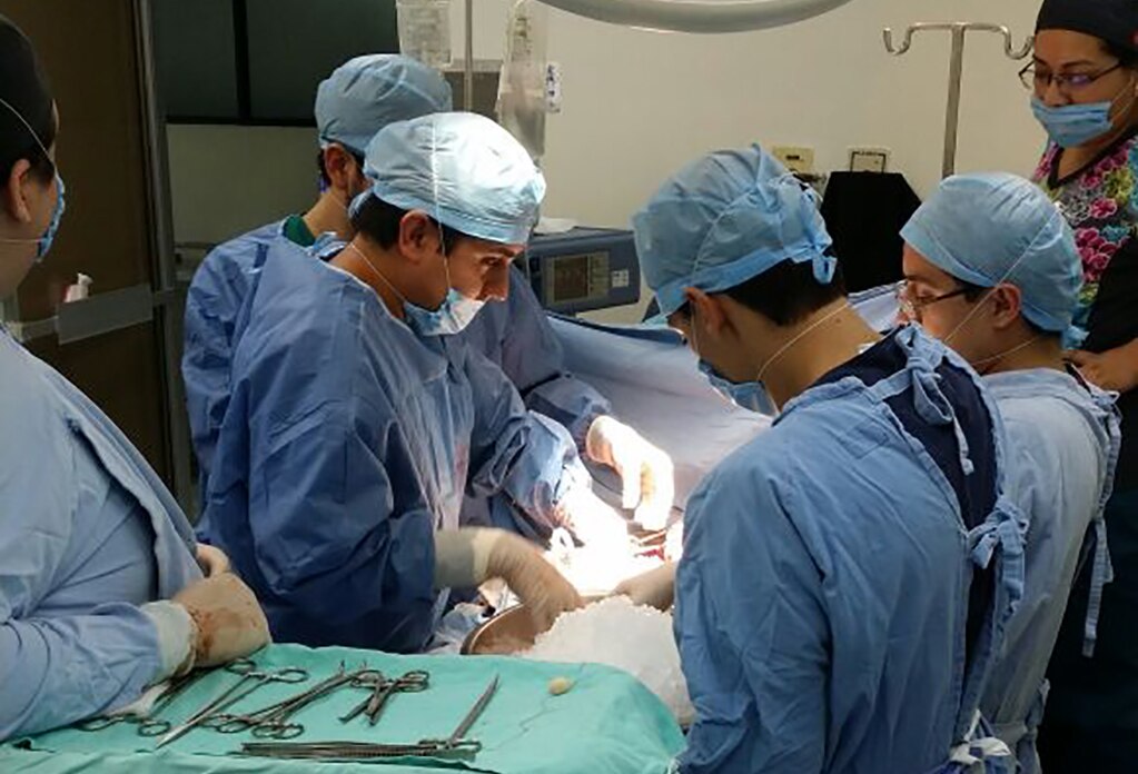 Destacan a SLP como referente en trasplante de órganos 