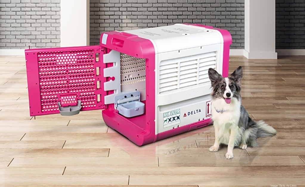 Conoce la transportadora inteligente para que tu mascota viaje cómoda en el avión