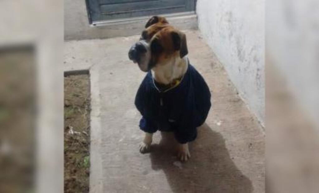 Fernando Chávez, ¿nuevo oficial mayor?