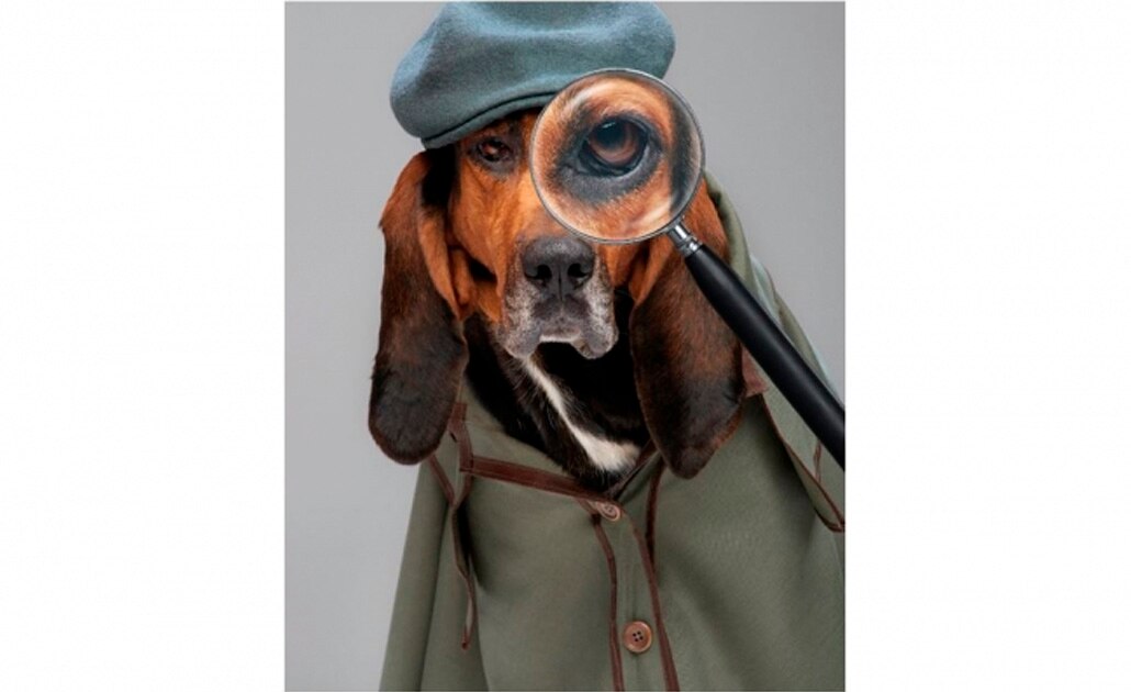 Buscadores de mascotas llega a National Geographic