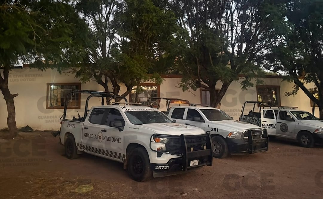 Acciones de seguridad en SLP. Foto: Especial