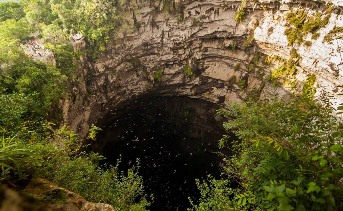 Sótano de las Golondrinas, mejor destino de aventura subterránea; SLP se corona con galardón de México Desconocido