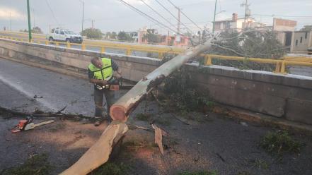 Lluvias del fin de semana en SLP causaron estragos en viviendas y vehículos